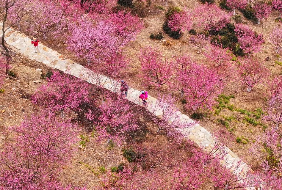 故乡月映照海峡情——在台大陆乡亲的中秋寄思
